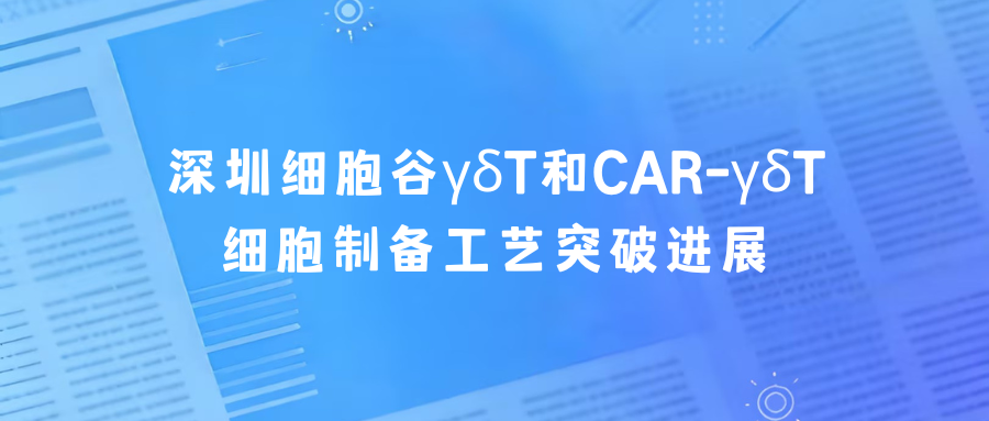 科研赋能|深圳K8官网γδT和CAR-γδT细胞制备工艺突破进展