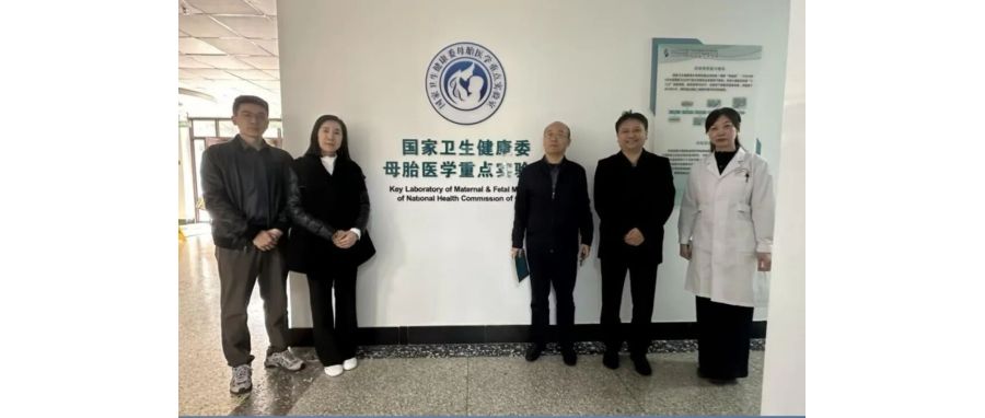 研讨合作｜K8官网团队访问山东省妇幼保健院，共探妇幼领域细胞治疗创新应用